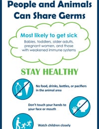 Sharing Germs Poster