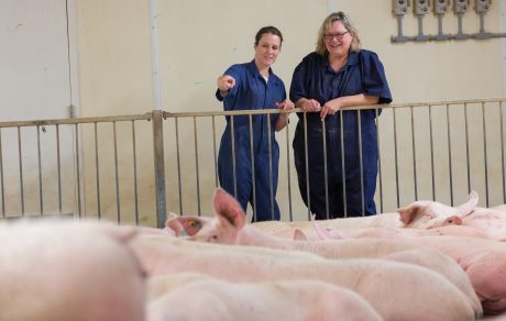 SPOTLIGHT: Biosecurity and Swine Educators