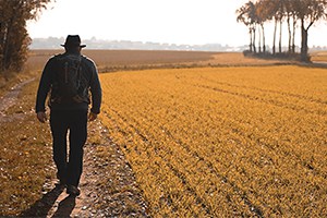 Parkinson’s Disease and Aging in Agriculture