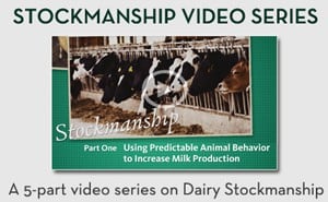 stockmanship-videos