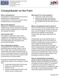 Campylobacter on the Farm
