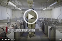 Preventing Needlestick Injuries - Proper Use on Swine and Hog Farms-image