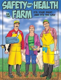 Bilingual Comic: Safety and Health on the Farm