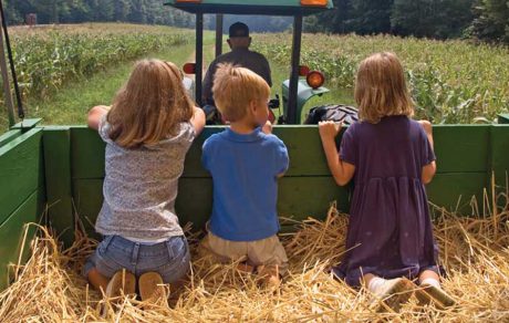 UMASH Success Story: Agritourism – The New Frontier