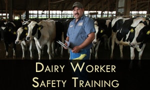Bilingual Curriculum for Dairy Worker Safety Training