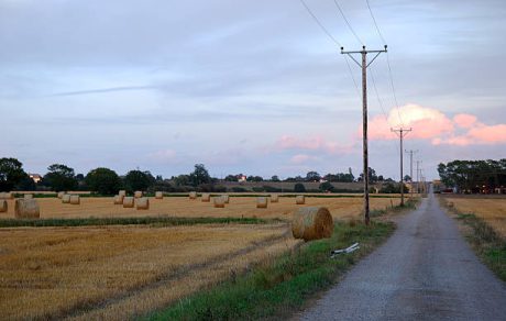 Farm Safety Check: Electrical Safety