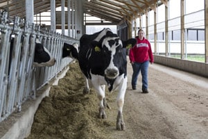 Farm Safety Check: Livestock Facilities & Handling Safety