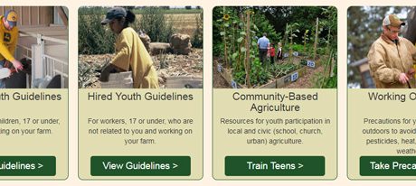 SPOTLIGHT: Agricultural Youth Work Guidelines