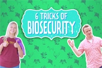 6 Tips for Biosecurity - A Guide for Youth Livestock Exhibitors-image