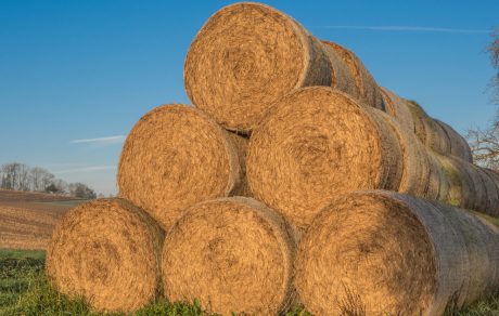 Farm Safety Check: Hay and Silage Harvest