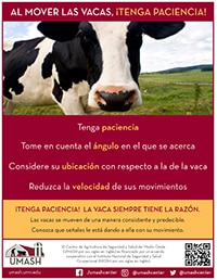 Al Mover Las Vacas, Tenga Paciencia-image