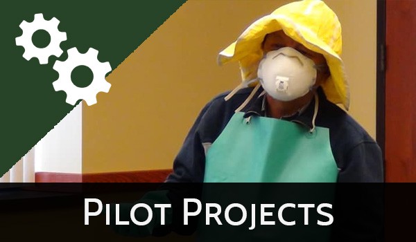 Pilot Projects