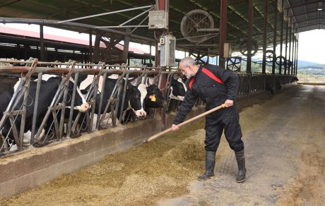 SPOTLIGHT: Preventing repetitive motion injuries on the farm