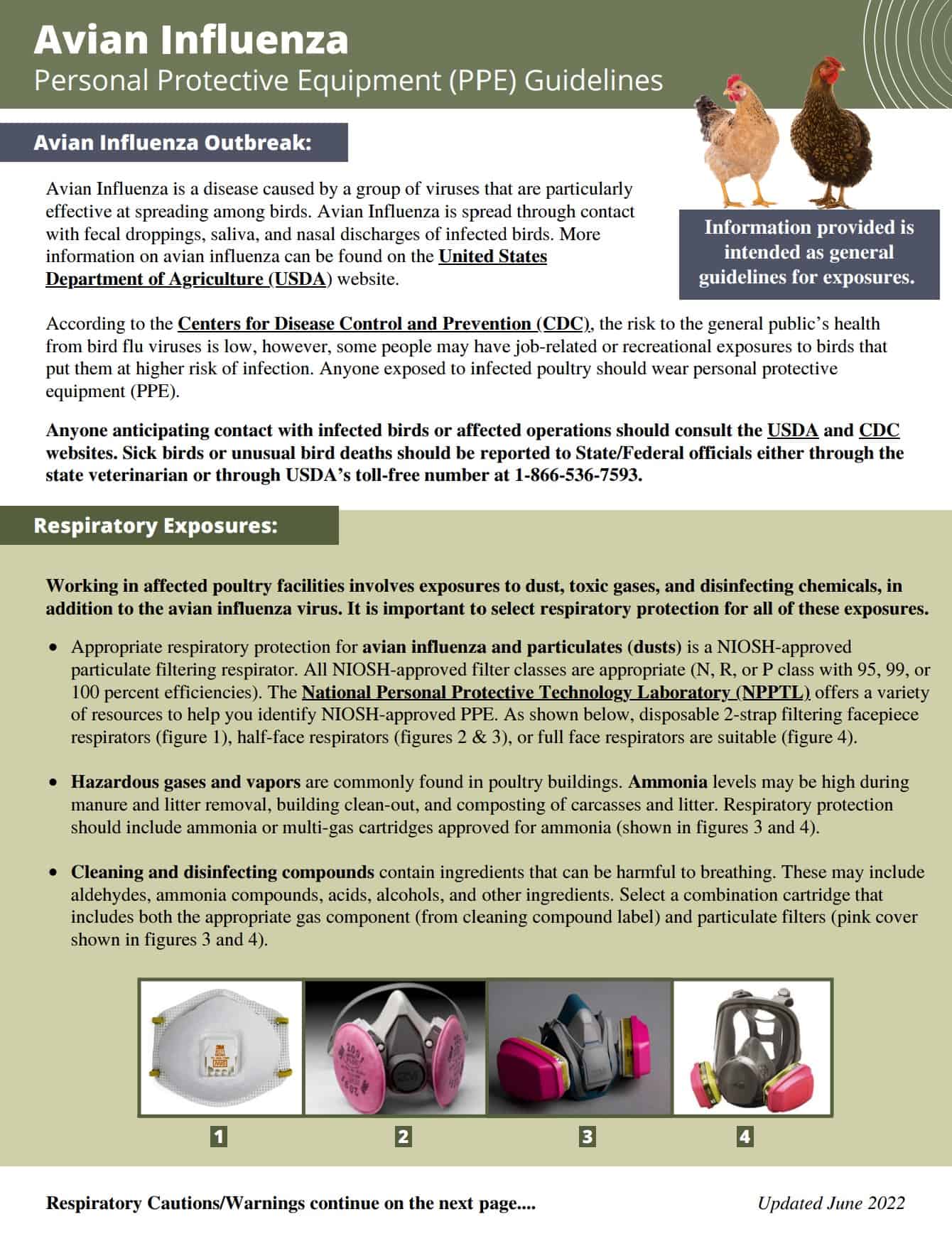 Avian Influenza Personal Protective Equipment (PPE) Guidelines