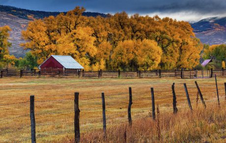 Promoting Farm Safety and Health Through the Seasons