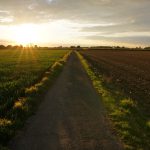 pathway down a grassy field among a cloudy sky with the sun